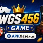WGS456 Game