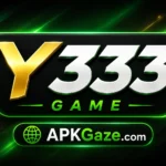 Y333 Game