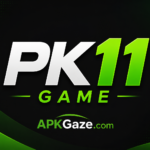 PK11 Game